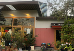 南青山でみどりを感じる✴︎