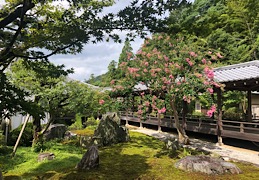 夏休み2019 〜京都の旅〜