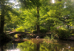 最近の思うこと