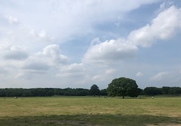 saeの公園シリーズ☆ 〜昭和記念公園編〜