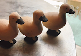 愛してやまない鴨肉