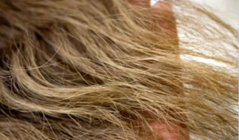 秋冬の乾燥ケア　ｂｙ　Door