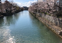 京都に行きました♪